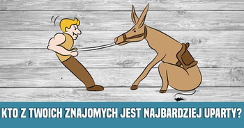 kto-jest-uparty